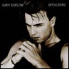 Gary Barlow - Open Road, the album